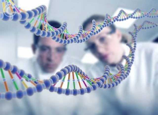 Ученые предсказали успешность по генам